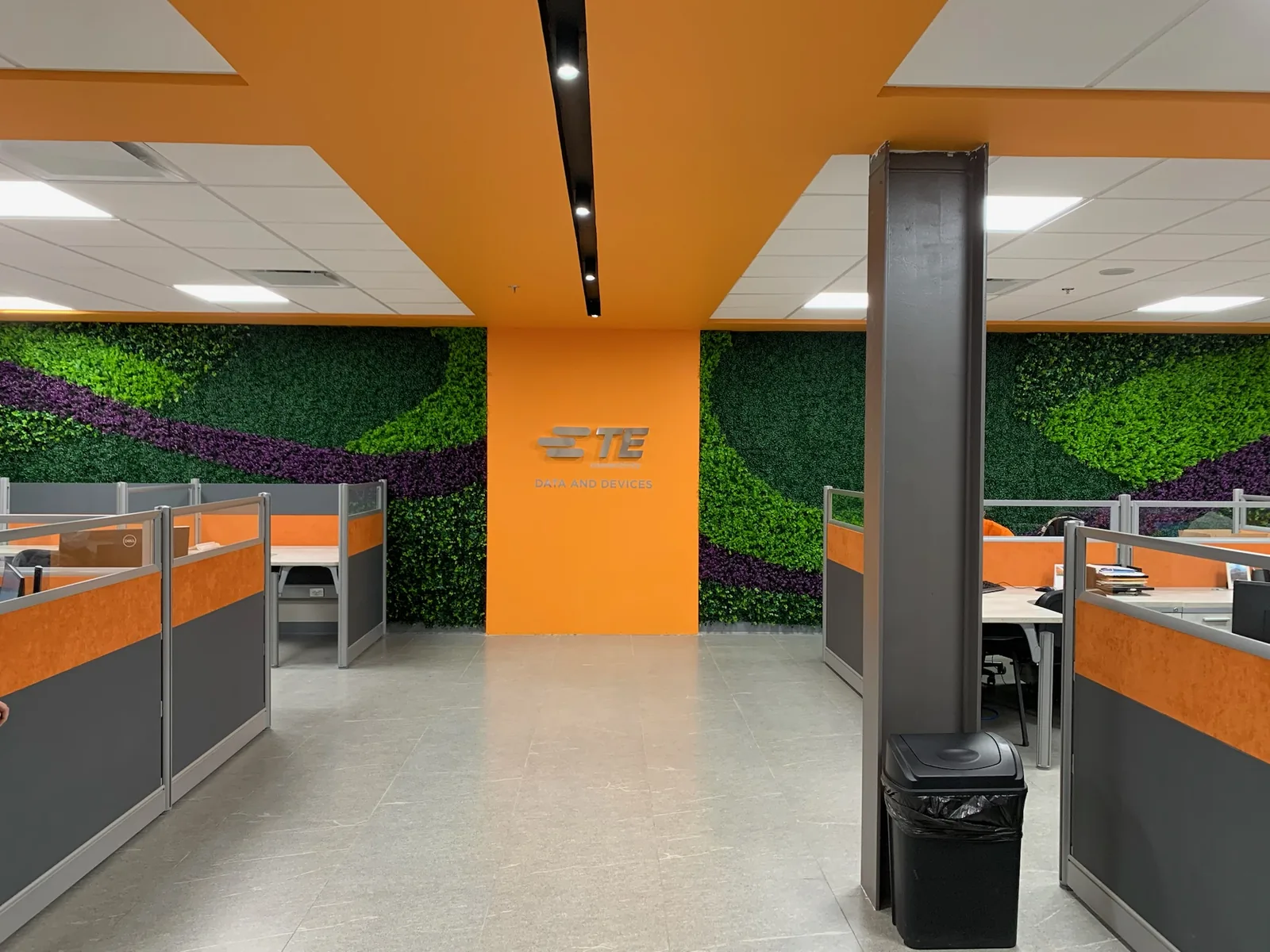 Proyecto exterior de California Interiors 10